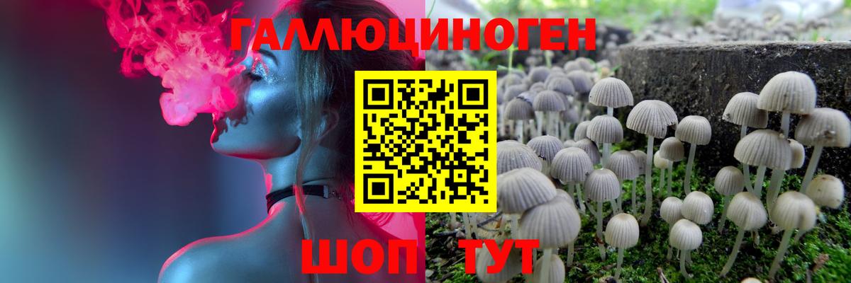 Ногинск  Галлюциногенные грибы мицелий  Вход с VPN 